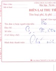 Payment receipt (consular legalization) 
